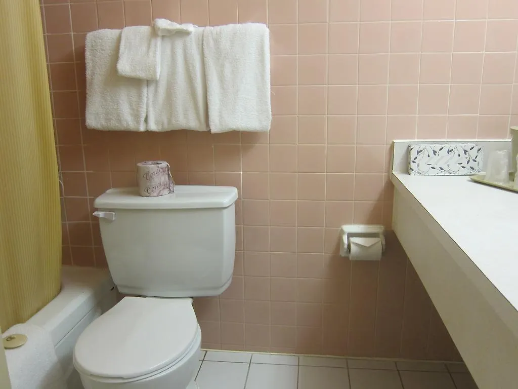 Toronto Plaza Airport Hotel Canada