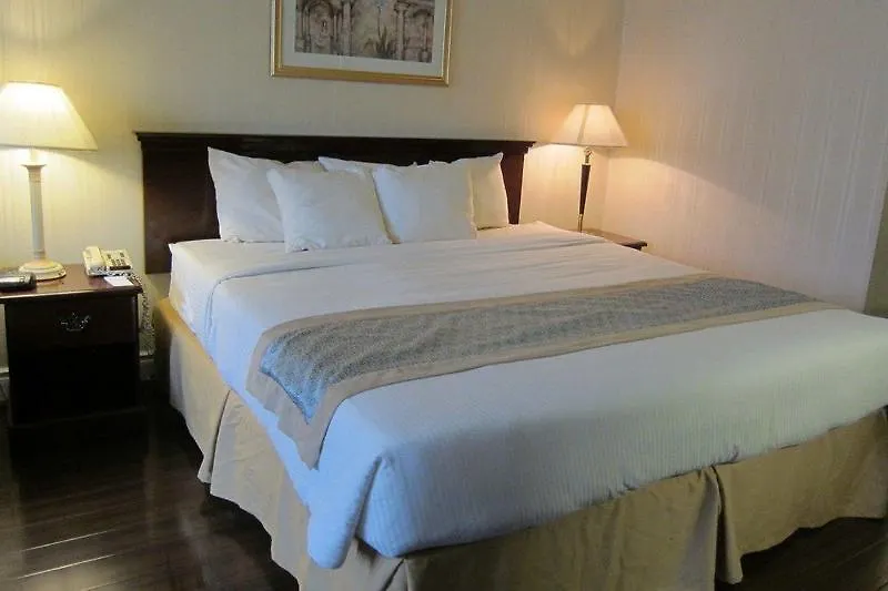 Toronto Plaza Airport Hotel