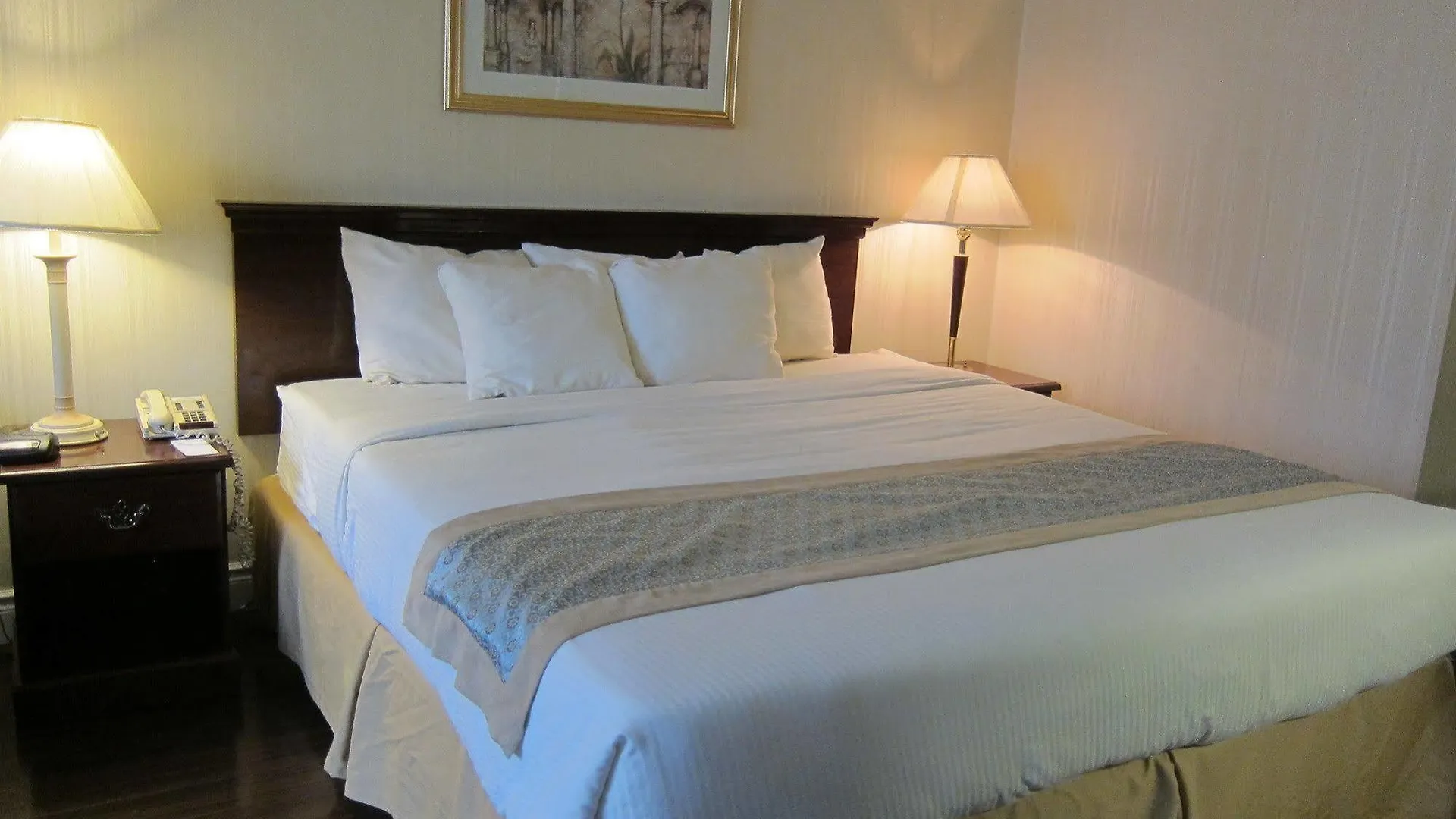 Toronto Plaza Airport Hotel